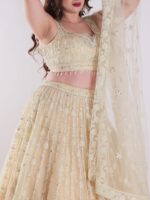 Cream Colored Intricately Embroidered Designer Lehenga Choli Set