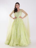 A Beautiful Light Green With Delicate Embroidery And Embellishment Cocktail Party Wear Gown