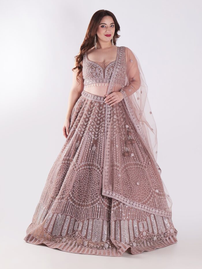 Intricately Embroidered With Silver Sequins Elegant Look Designer Lehenga Set - Image 1