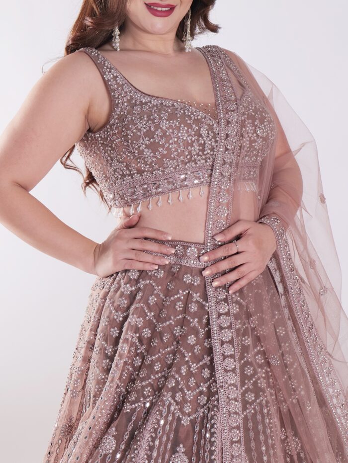 Intricately Embroidered With Silver Sequins Elegant Look Designer Lehenga Set - Image 6
